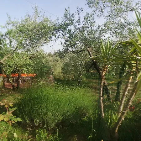 Farm stay 